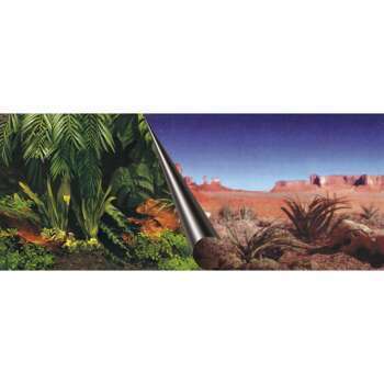 Poster fond d'aquarium Jungle & Dessert 120x50cm