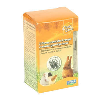 Pierre mineral rongeurs x 2 : plaque ytong L. 5,2x