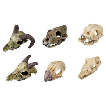 Déco d'aquarium skull mini : L.10xl.6xh.5,5cm