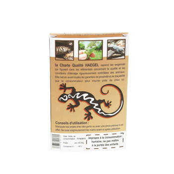 Souris médium 12 jours, 17 gr (4 pièces)