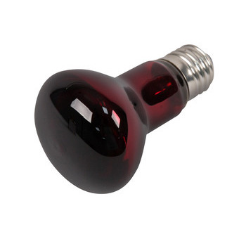 Lampe chauffante infrarouge 100W