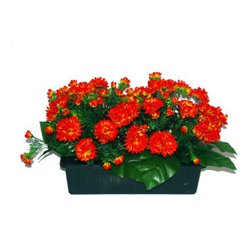 Jardinière 40Cm de 48 chrysantheme tabac , H35CM -