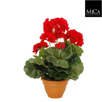 Geranium en pot Ø 11,5 cm, rouge Ø 23 x H. 32 cm