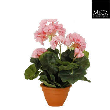 Geranium en pot Ø 11,5 cm, rose Ø 23 x H. 32 cm