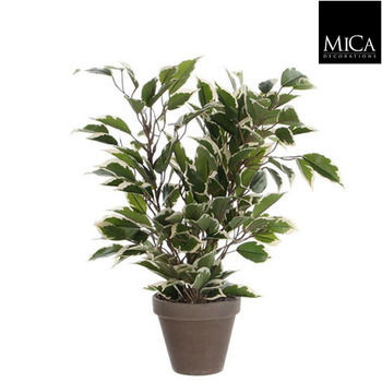 Plante artificielle : Pot Ficus Natasja blanc D. 1