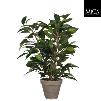 Plante artificielle : Pot Ficus Natasja D. 11 x H.