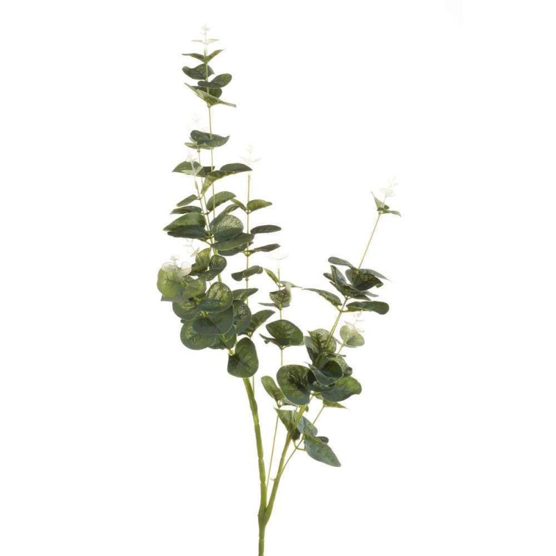 Branche d'eucalyptus artificielle - H. 75cm