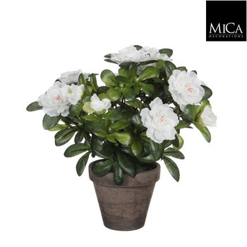 Plante artificielle : Pot azaléa blanc H. 27 cm