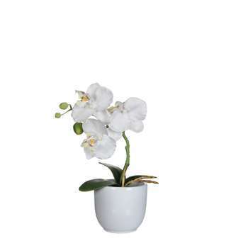 Plante artificielle : Pot phalaenopsis blanc H. 26
