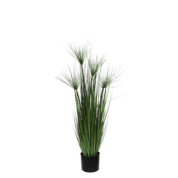 Papyrus artificiel, en pot D15 x H. 102 cm
