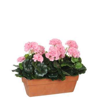 Plante artificielle : Jardinière géranium rose 39x