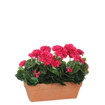 Plante artificielle : Jardinière géranium rose 39x