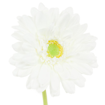 Gerbera artificiel : blanc, h.49cm