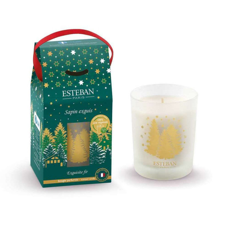 Bougie parfumée : Sapin Exquis - 180g