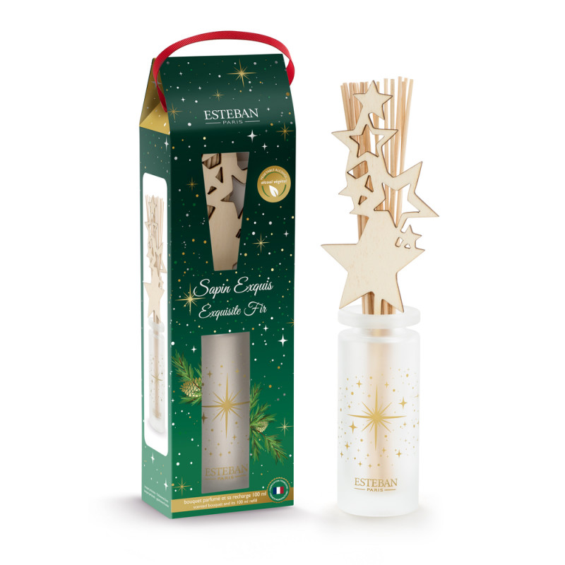 Bouquet parfumé, diffuseur d'ambiance Sapin exquis