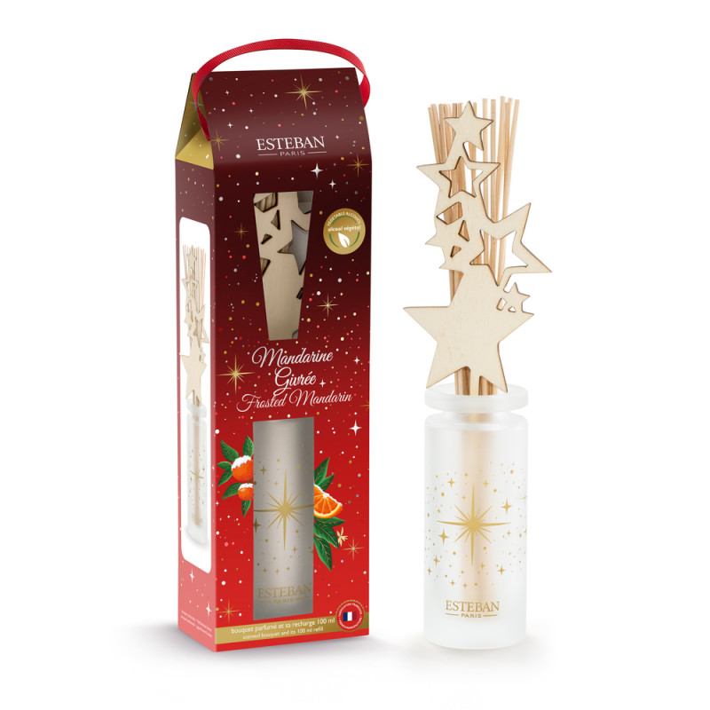 Bouquet parfumé, diffuseur d'ambiance mandarine gi