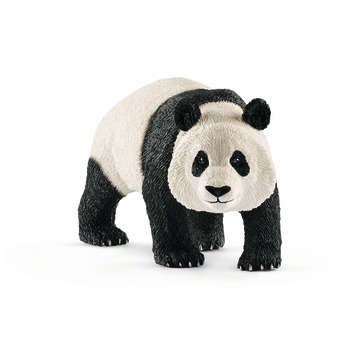 PANDA GEANT MALE