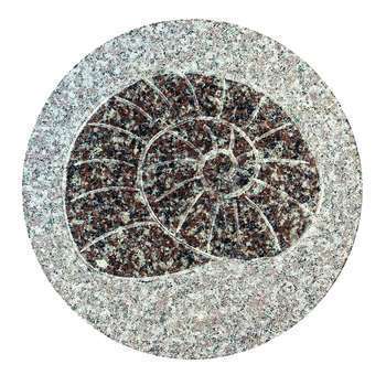 Pas jardin fossile escargot: granit, D30cm