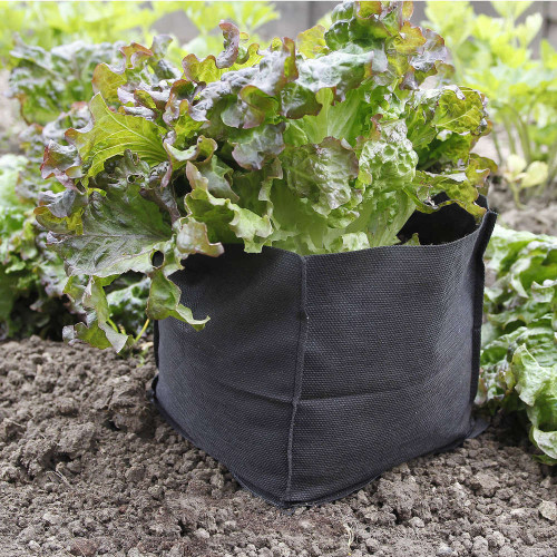 Sac de plantation BIOCONTROL X10