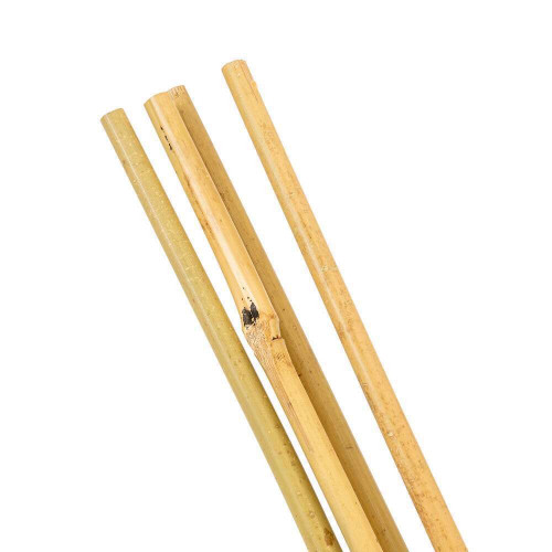 Tuteurs Bambou L120cm D8/10mm x 4