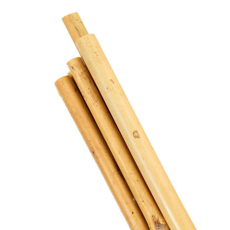 Tuteurs Bambou L150cm D10/12mm x 3