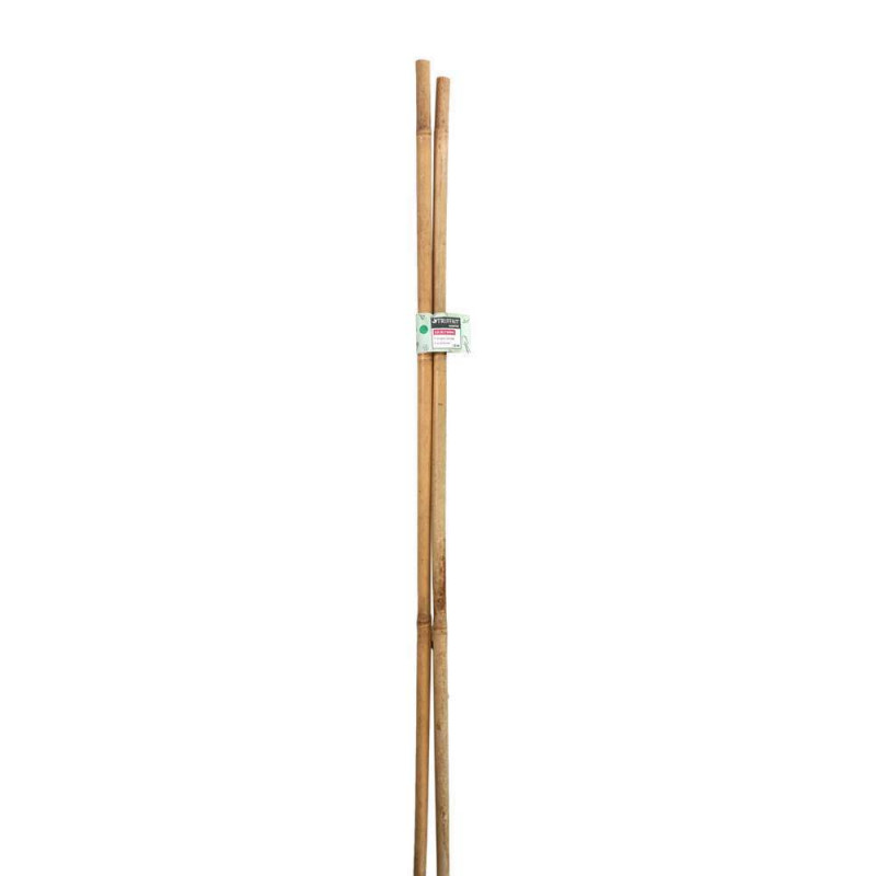 2 tuteurs bambou Diam. 14/16 mm H 180 cm