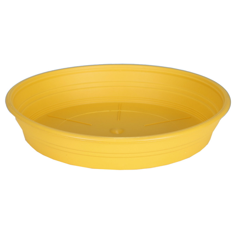 Soucoupe ronde bleu - D. 12cm