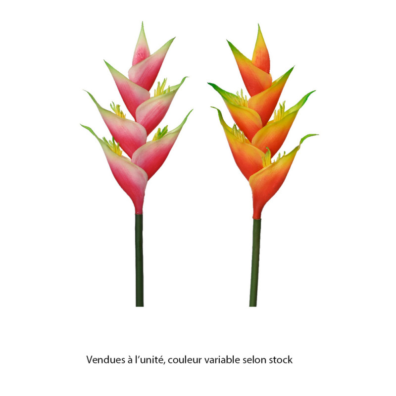 Fleur artificielle : tige d'Heliconia, coloris var