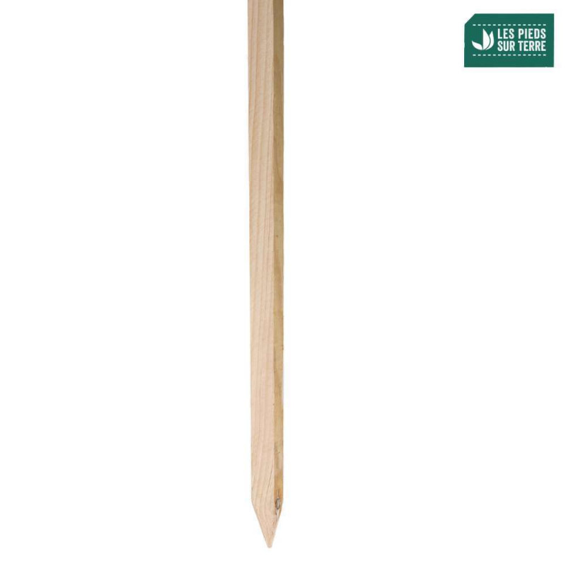 Piquets en bois Pin Maritime - H.170cm