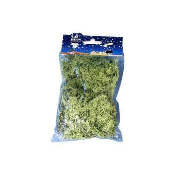 Décoration pour paysage de Noël : Lichen sachet 50