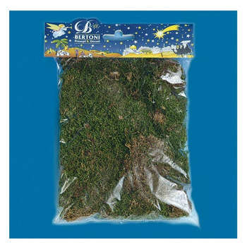Décoration pour paysage de Noël : Mousse 90 gr en