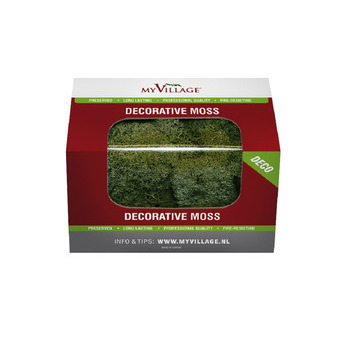 Lichen Vert Fonce 50 gr