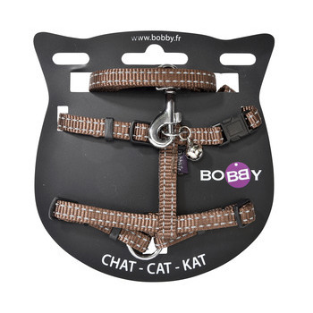 Pack harnais et laisse Safe pour chat de couleur m