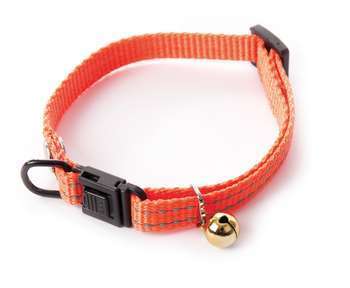 Collier réglable pour chat, nylon, orange